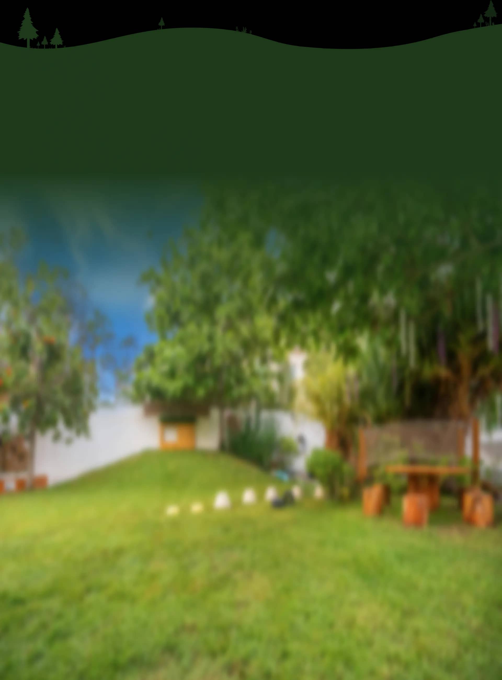 Natural forest background illustration