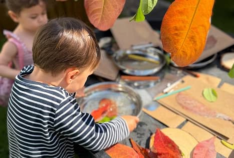 Exploration & Free Play