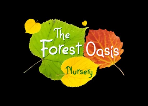 Forest Oasis Nursery Logo