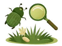 Nature Walk, Bug Hunts & Wildlife Awareness